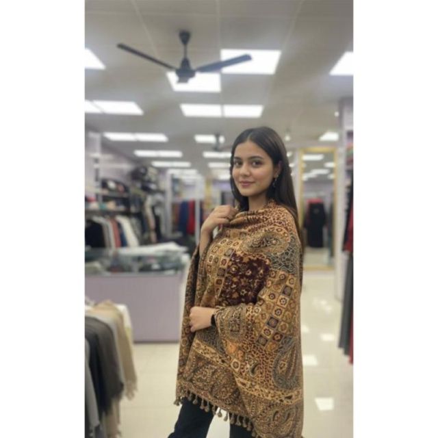 Premium Antique Brown Kashmiri Jamawar Shawl.