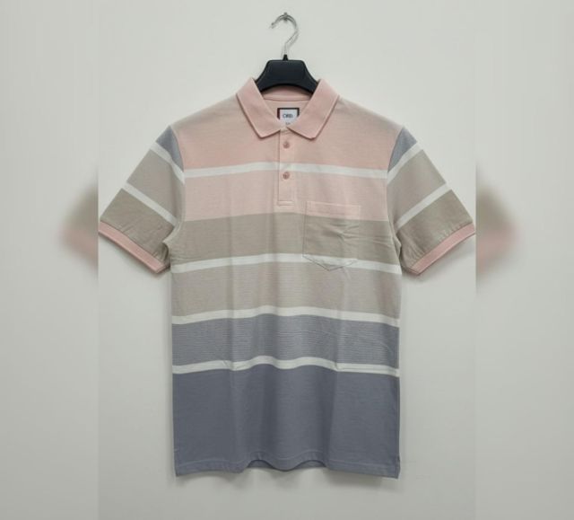 Horizon Stripe Premium Tee