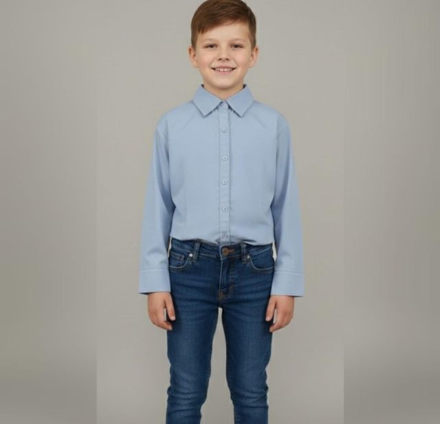 A BOTTOM DOWN PLAIN SHIRT